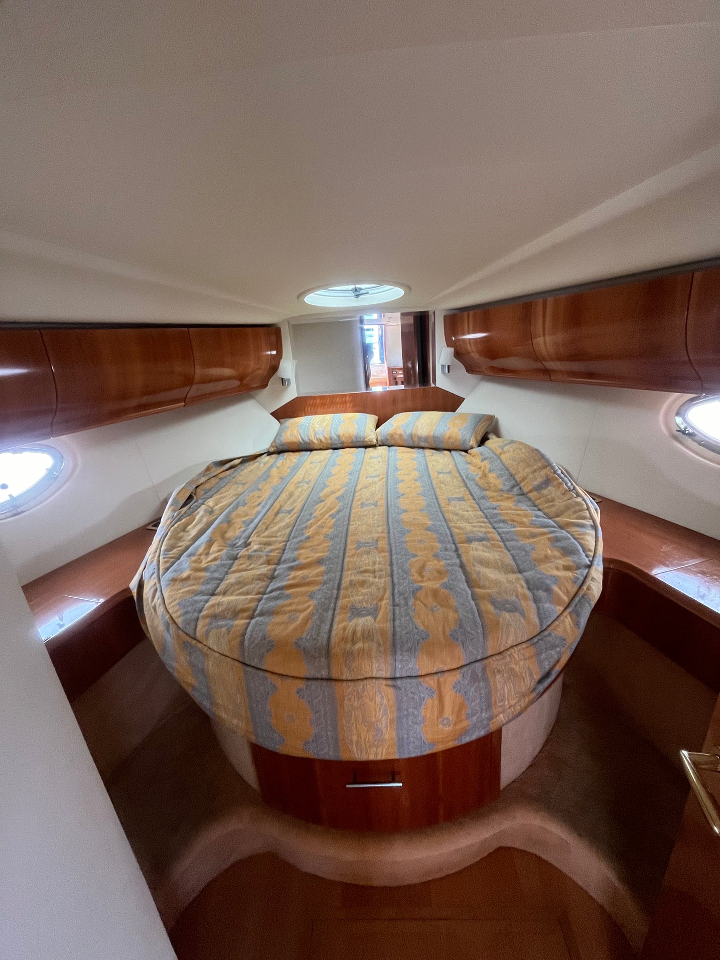 Astondoa 40