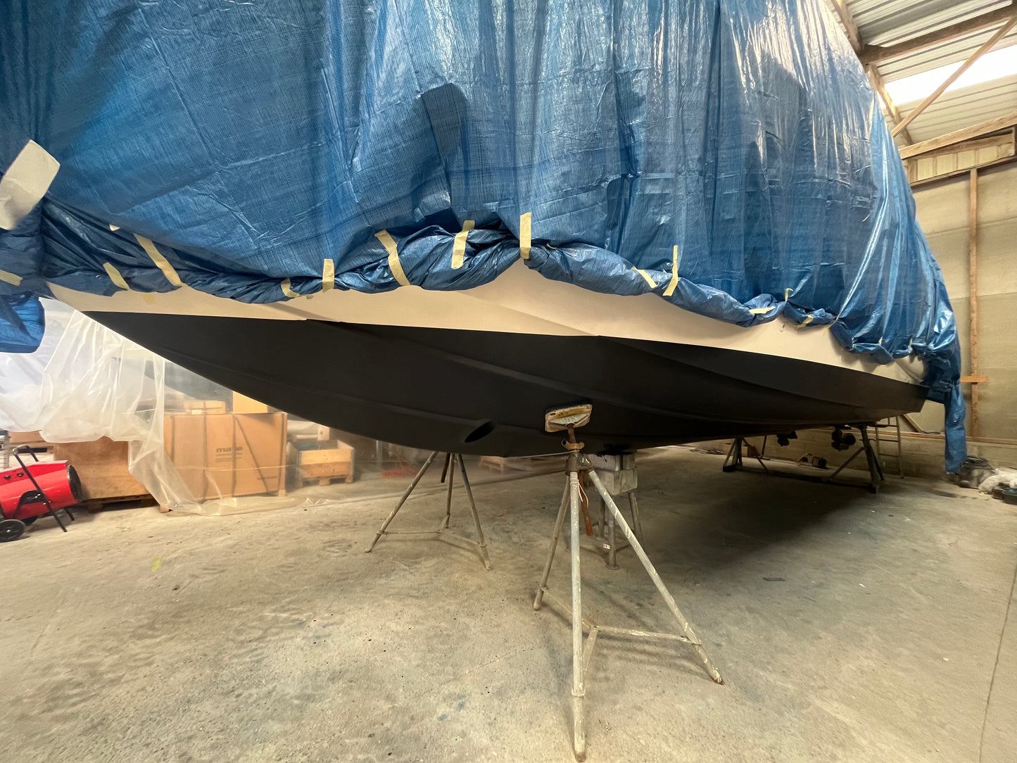 Astondoa 40