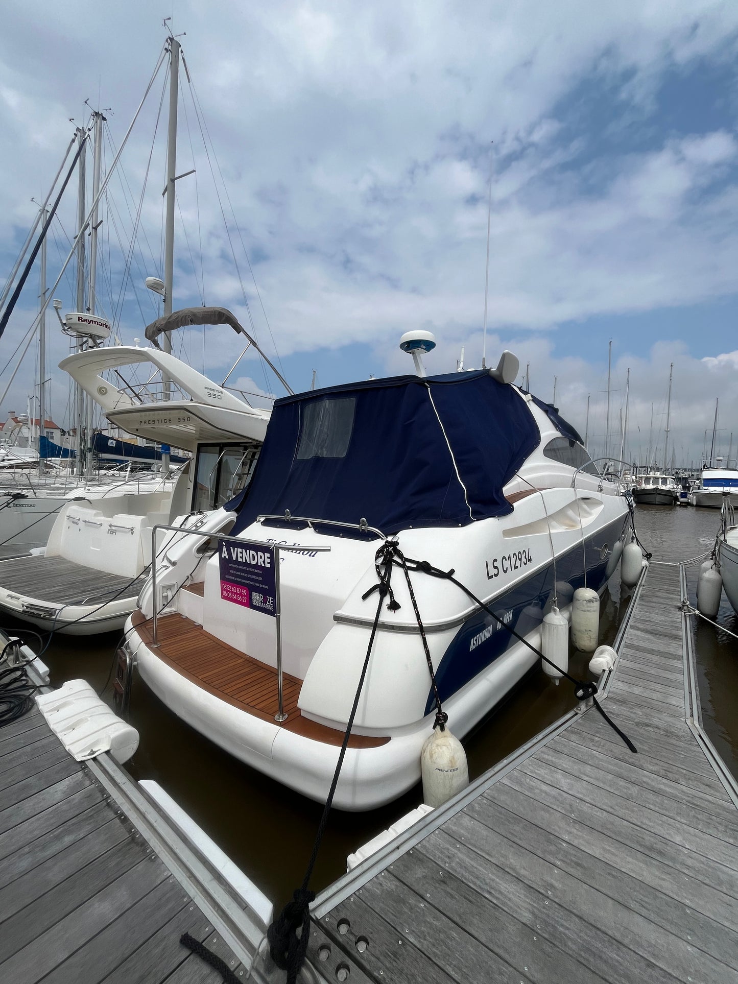 Astondoa 40