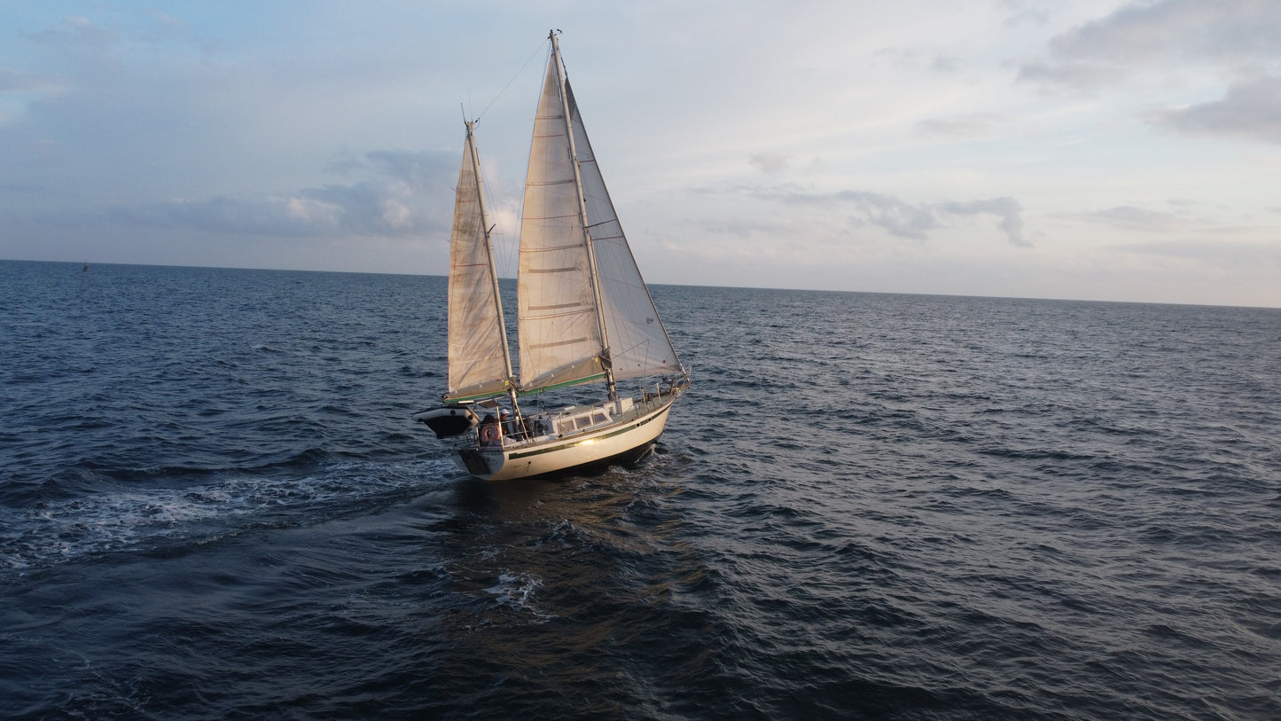 Endurance 35