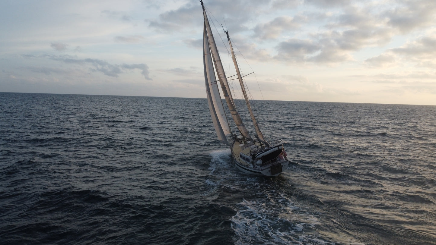 Endurance 35