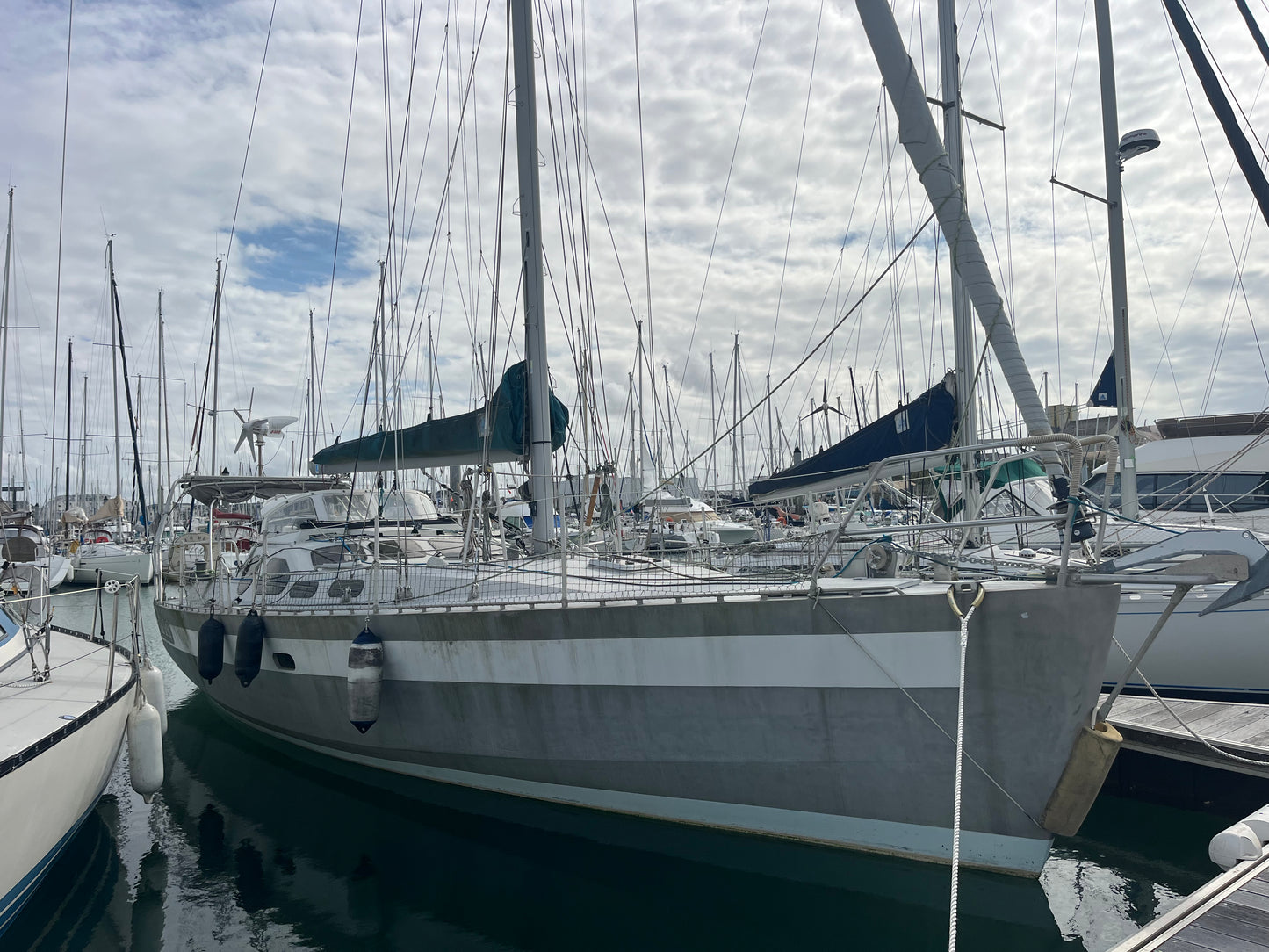 Patago 39