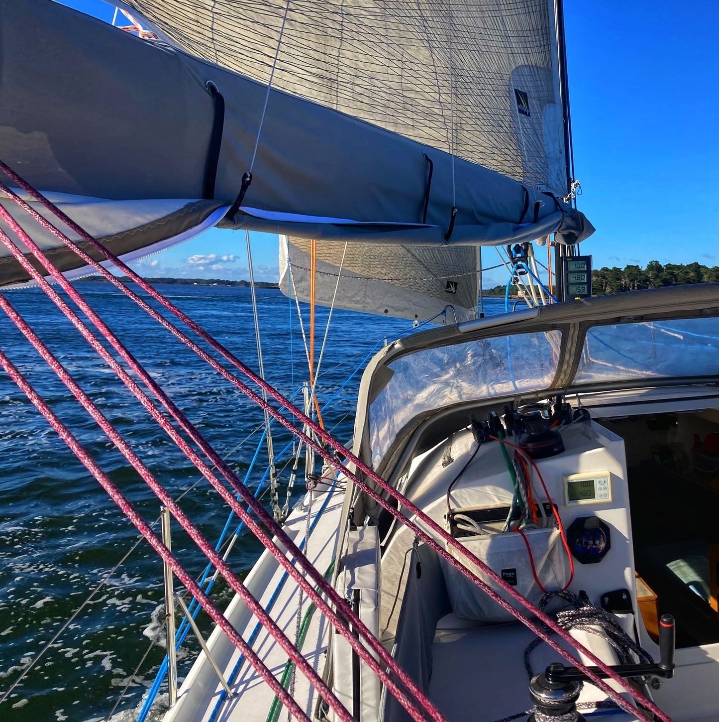 Pogo 30