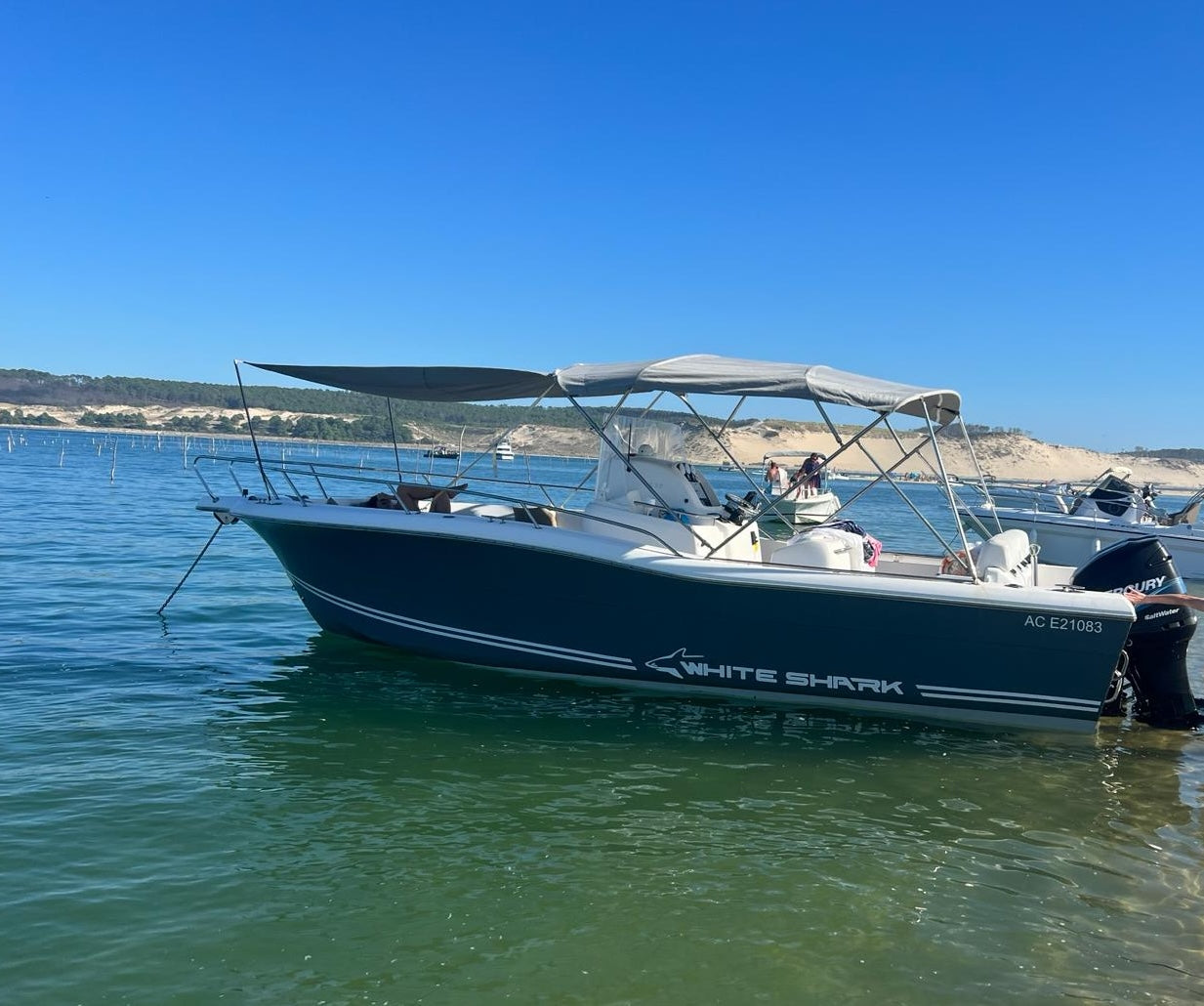 White Shark 265