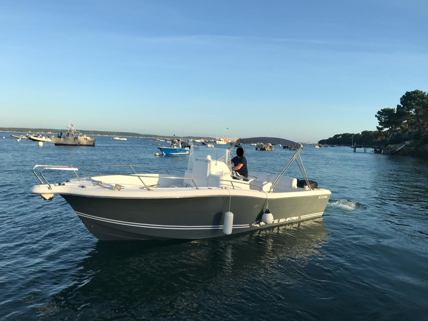 White Shark 265