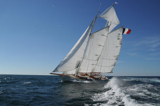 Goelette Aurique Diva