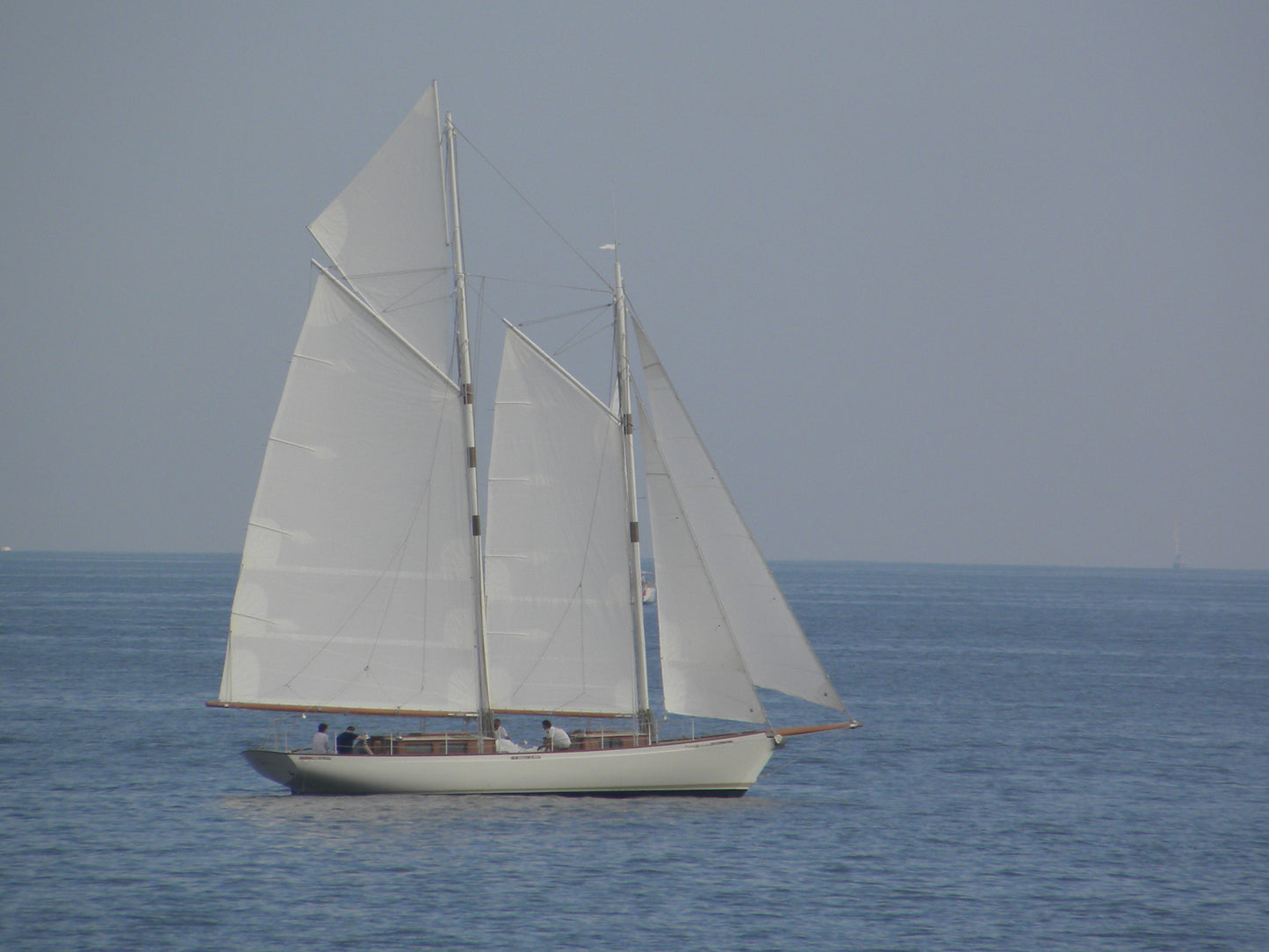 Goelette Aurique Diva