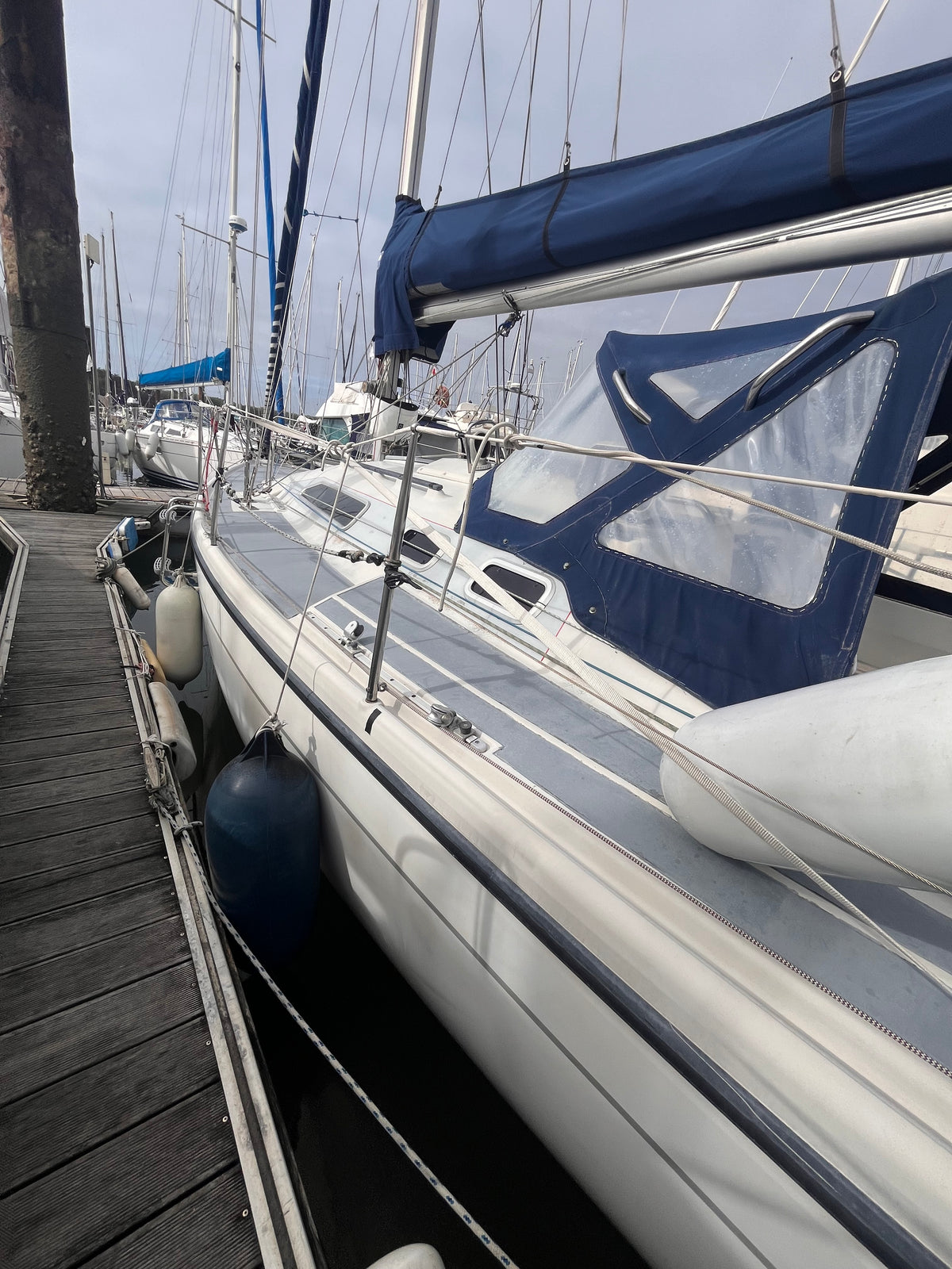 Dehler 36