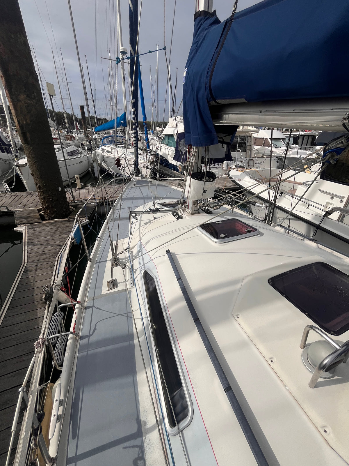 Dehler 36