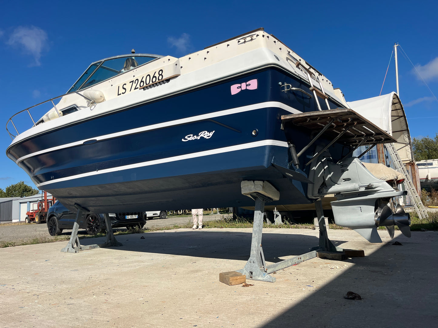 Sea Ray Sundancer 250