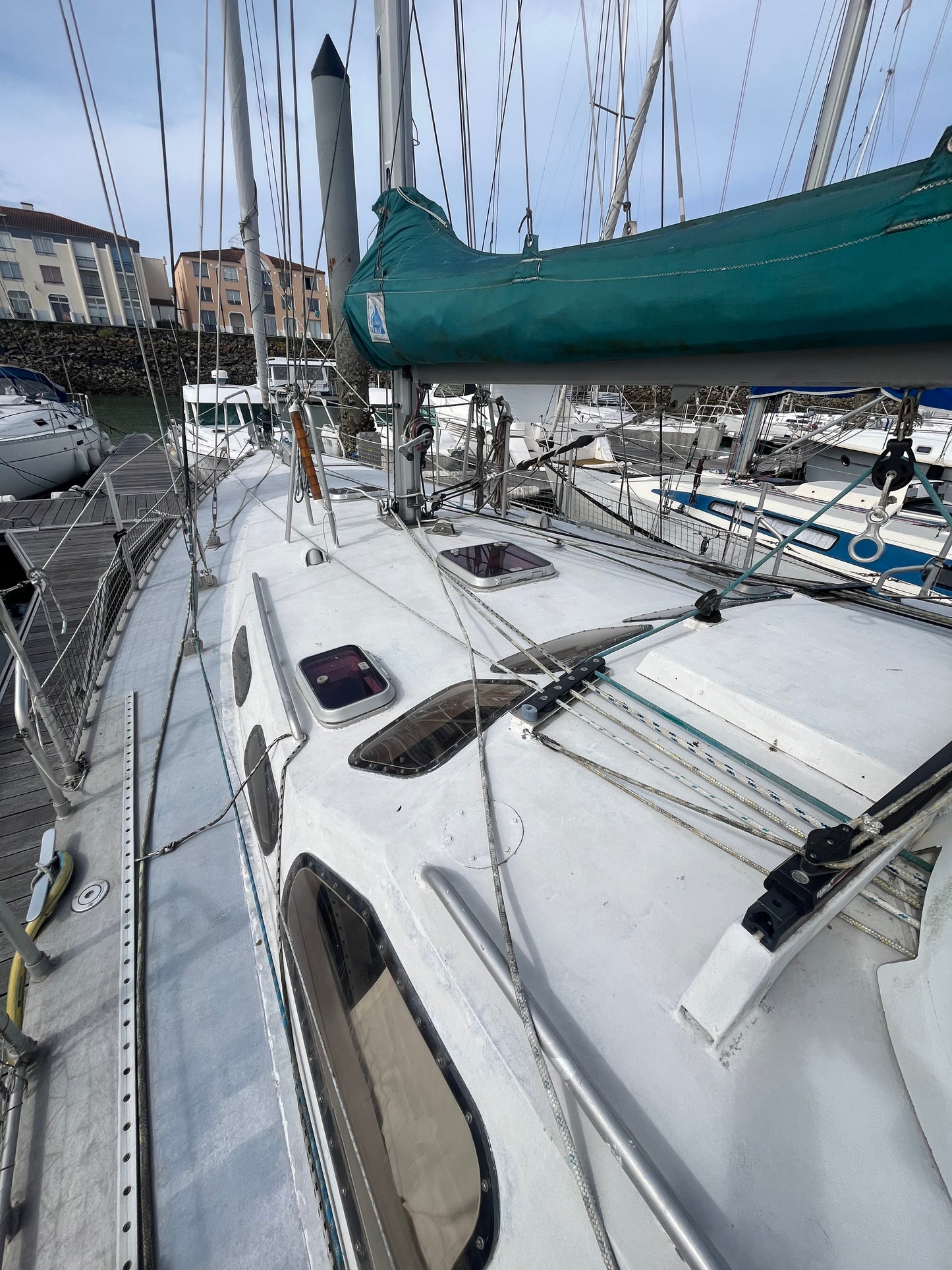 Patago 39