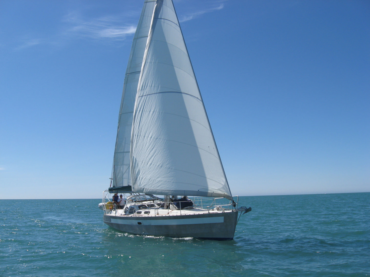 Patago 39