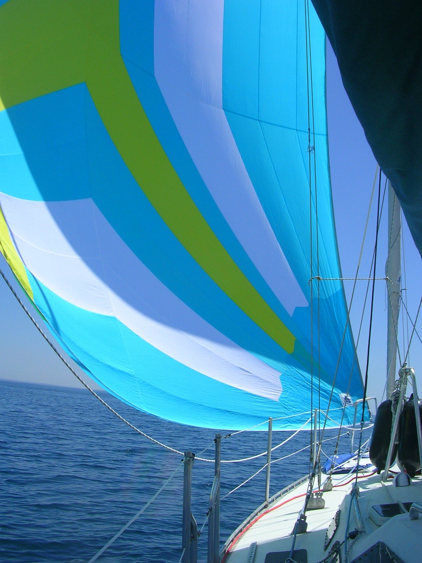 Patago 39